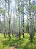 PICTURES/Kendrick Wildlife Trail/t_Sharon & Arleen Among Aspens.JPG